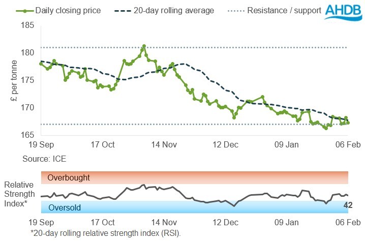 Line graph showing UK feed wheat futures prices, May-26 contract.